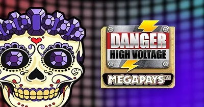 Danger High Voltage Megapays