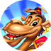 Cash Camel